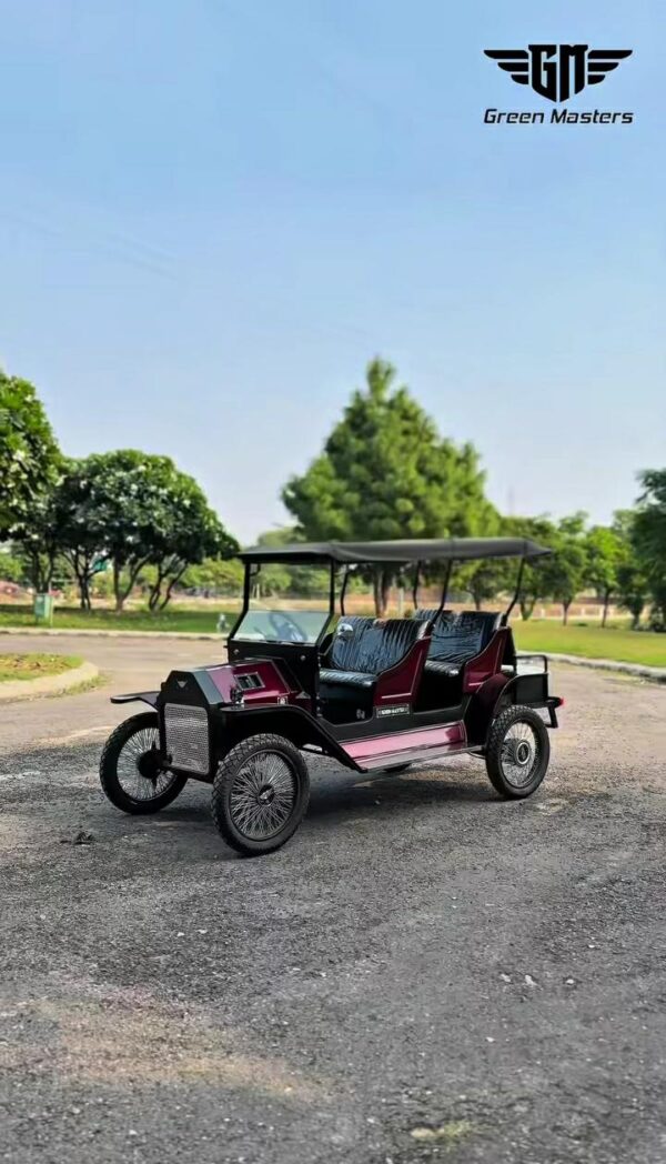 WhatsApp Image 2025-10-30 at 11.26.34 AM 6 seater vintage v3