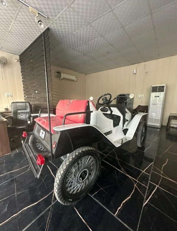 WhatsApp Image 2025-11-01 at 1.44.44 PM (1) 4 seater vintage top V1