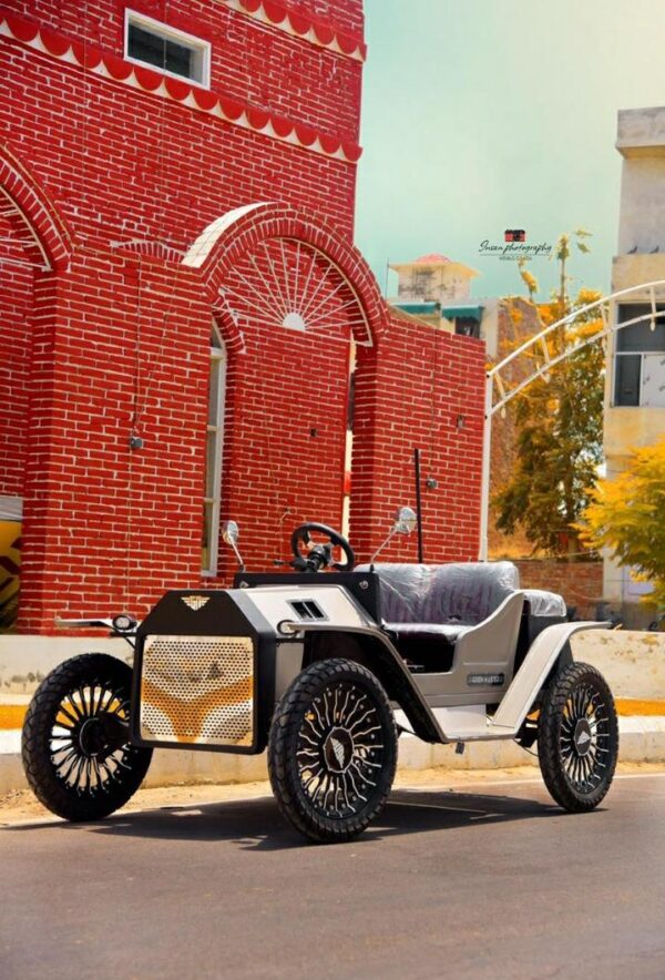 WhatsApp Image 2025-11-01 at 1.44.47 PM Adult 2 seater model