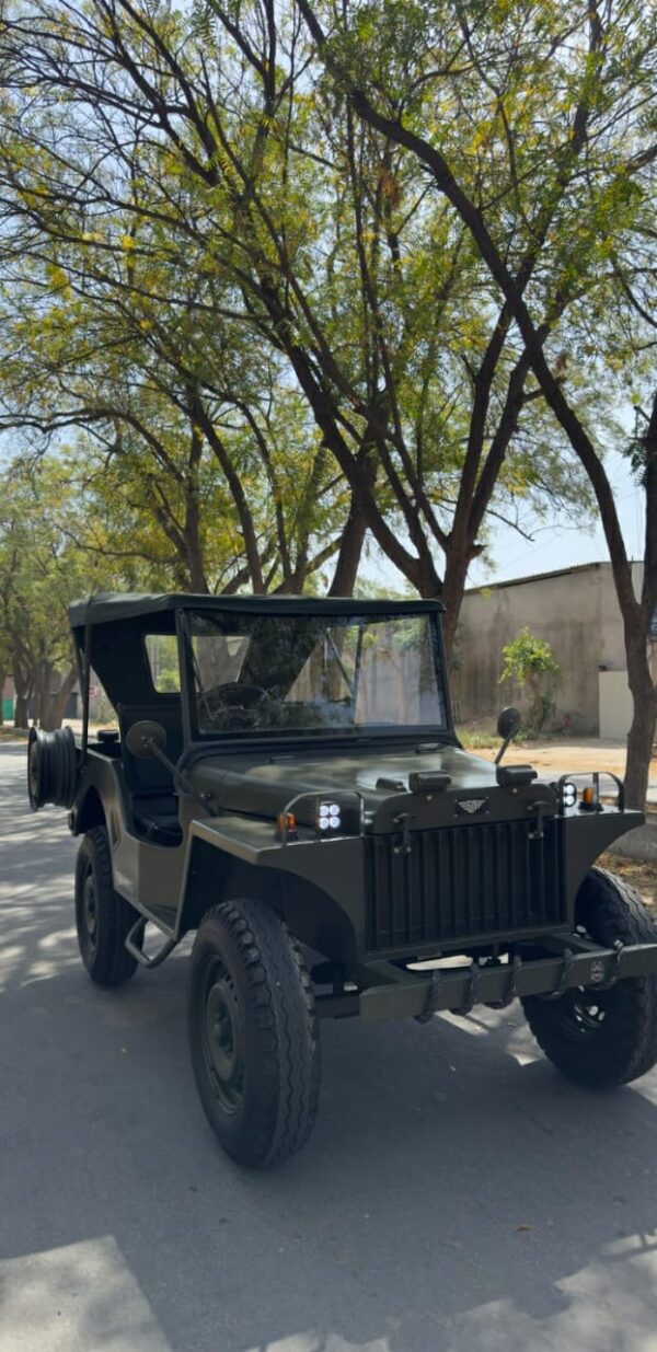 WhatsApp Image 2025-11-01 at 1.44.52 PM (1) Ev vintage willy v1