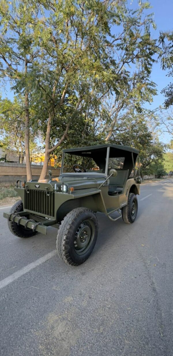 WhatsApp Image 2025-11-01 at 1.44.53 PM (1) Ev vintage willy v1