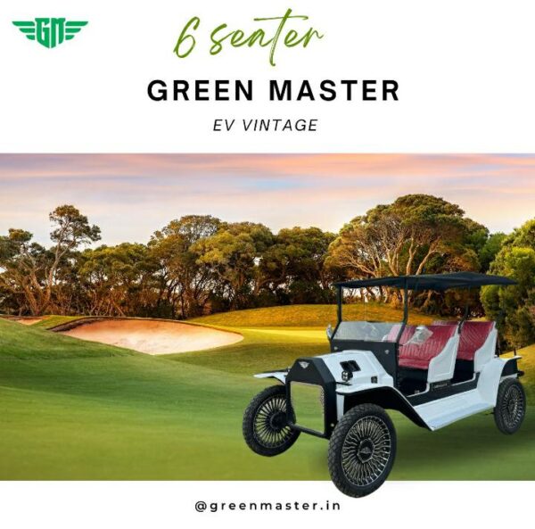 WhatsApp Image 2025-11-01 at 1.45.00 PM 6 seater vintage v3